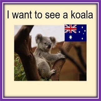 i-want-to-see-a-koala